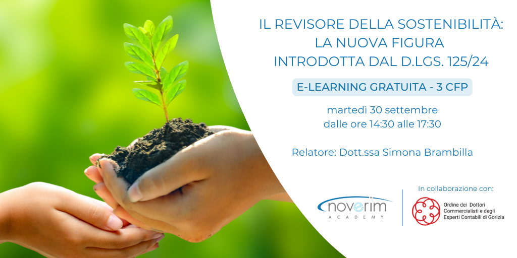 Il revisore della sostenibilità